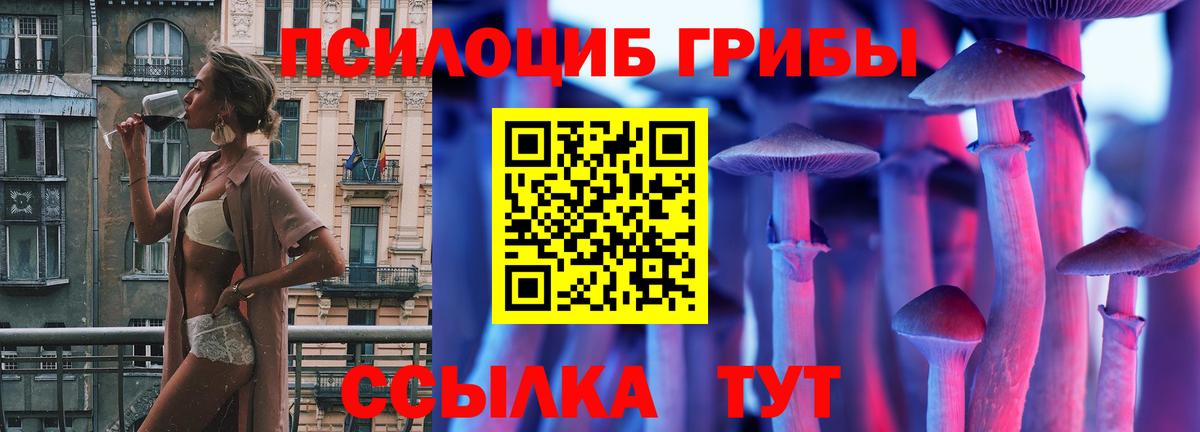 Псилоцибиновые грибы ЛСД  Вход с VPN  Псилоцибиновые грибы MAGIC MUSHROOMS  Каменка 